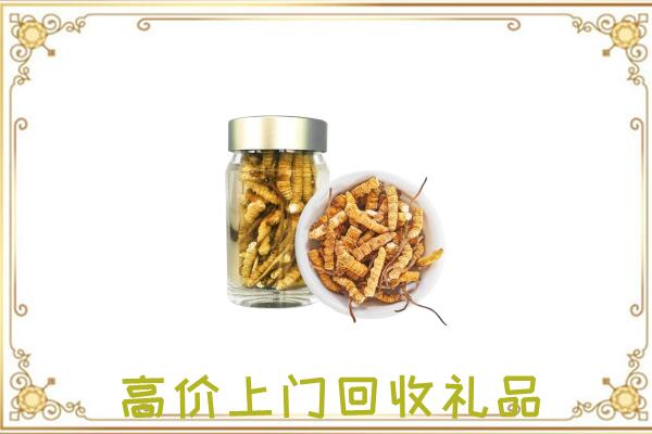 泾川周边回收虫草